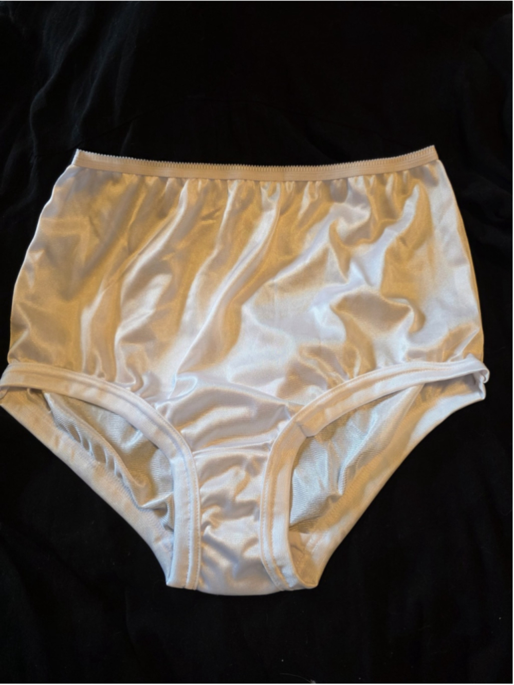 National Briefs Panties Sheer Nylon Size 7 Full Cut